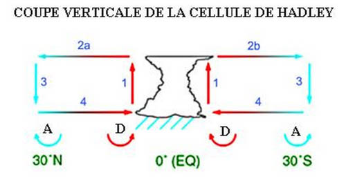Cellule de Hadley