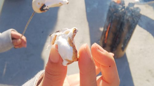 やぎの木登りガーデンカフェ 富士宮 ダヤンテールblog