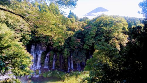 富士宮市 白糸ノ滝 シライトジェネラルストア ダヤンテールblog