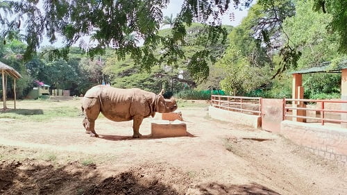 mysore zoo