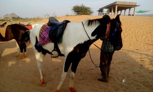 adventures in rajasthan