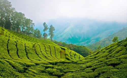 top 10 hill stations in karnataka