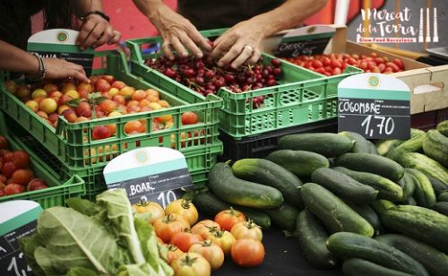 Slow Food: Mercat de la Terra