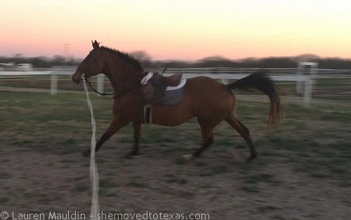 THAT MAKES ME WANT TO GALLOP!