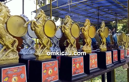 lomba burung berkicau AP Jaya