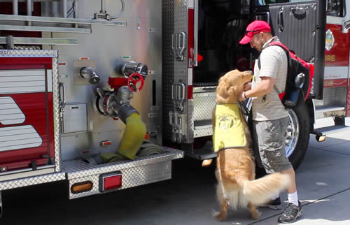 Apache jumps in truck...not Apache jumps in truck...not