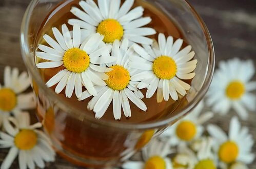 Chamomile Tea for sleep Chamomile Tea