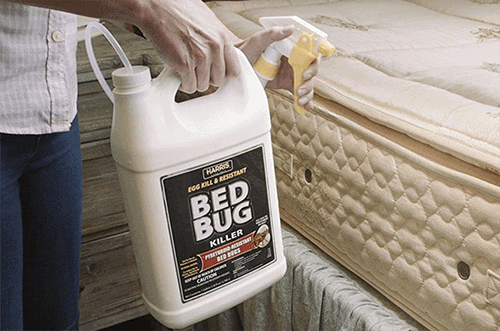 all natural sprays for bed bugs