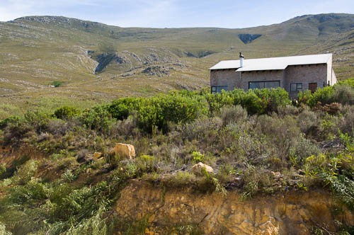 Clearance of alien Port Jackson (Acacia saligna)around cottages