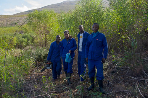 Alien clearance team
