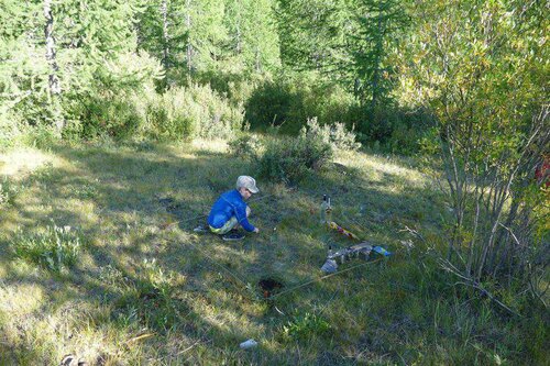 Mongolei Packpferd Trekking