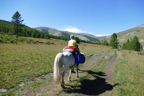 Mongolei Packpferd Trekking