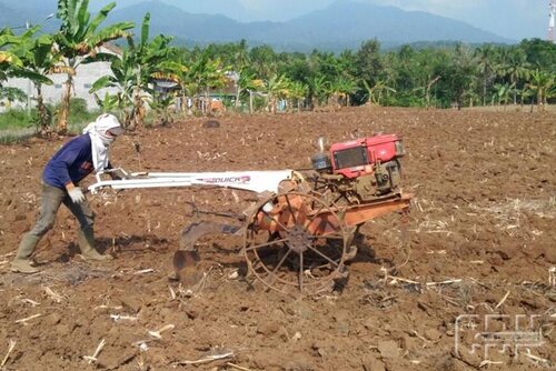 Yuk Ketahui Teknik Pengolahan Tanah Pertanian Pak Tani Digital Perlu diketahui cara menanam jagung tanpa olah tanah ini tidak bisa diterapkan di semua jenis lahan. yuk ketahui teknik pengolahan tanah