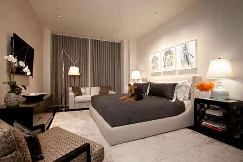 Pet Proof Rugs - Solutions for Resistant Rugs