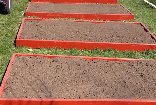 raised garden beds | ASimpleHomestead.com