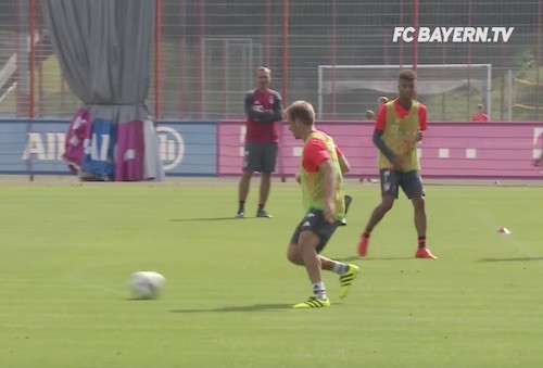 Lahm Shielding