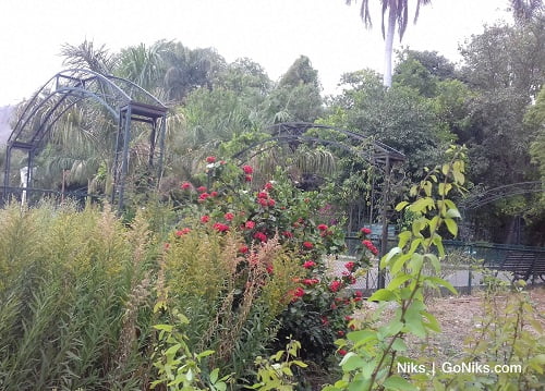 gulab bagh in udaipur