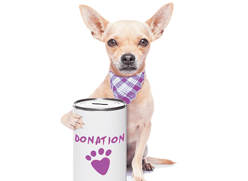 donate