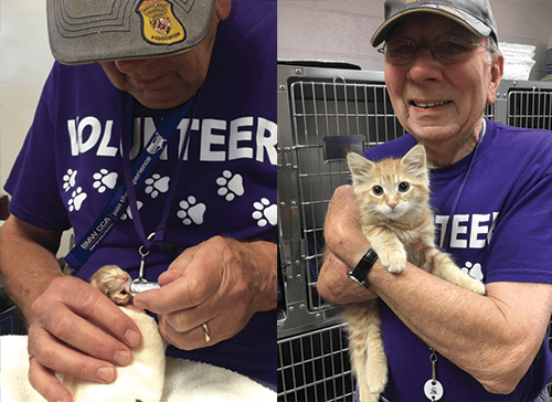 fostering