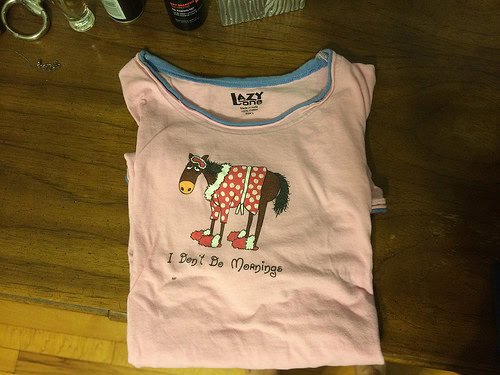 This is a horse pajama t-shirt that says "I don't do mornings". It has matching boxers, and my mother gave it to me ;)