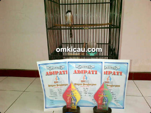 Pentet Jupiter MX juara 1, 1, dan 2.