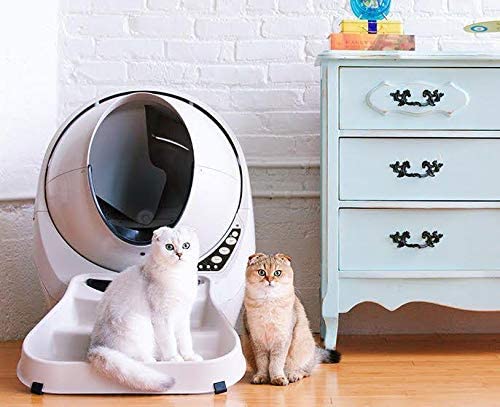 Litter Robot Notre Avis De La Litiere Autonettoyante Haut De Gamme