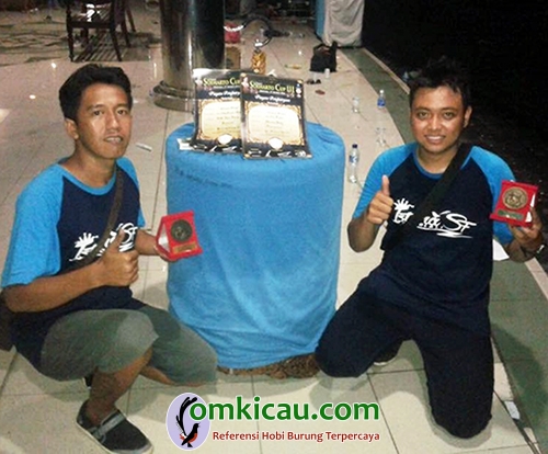 murai batu Mawar Hitam