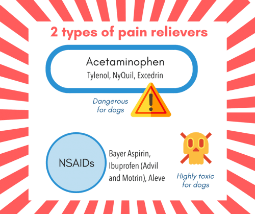 can dogs have aspirin or tylenol for pain