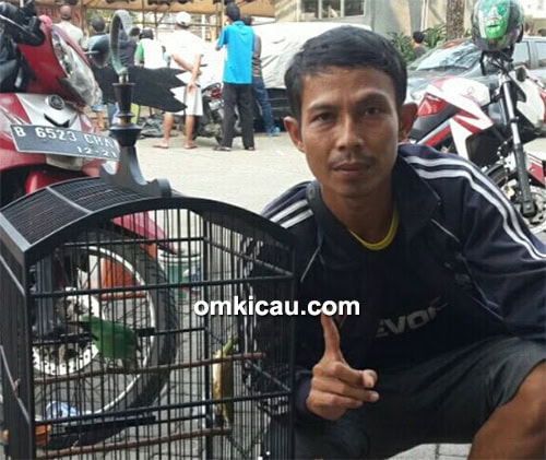 Cucak ijo Si Ngedur