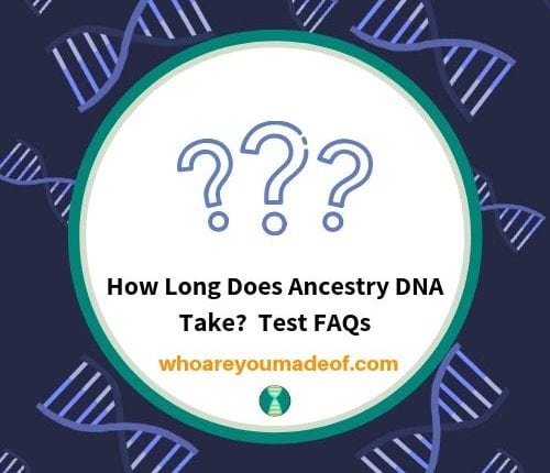 How Long Does Ancestry DNA Take_ Test FAQs