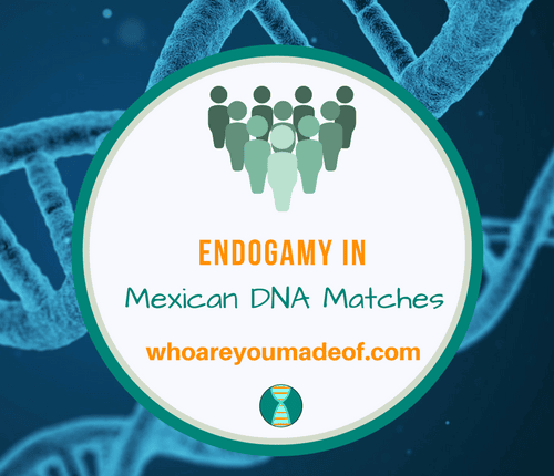 Endogamy in Mexican DNA Matches