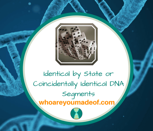 Identical by State or Coincidentally Identical DNA Segments(1)