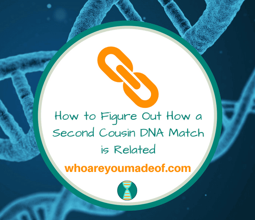 How to Figure Out How a Second Cousin DNA Match is Related