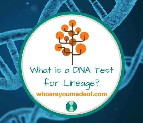 What is a DNA Test for Lineage_