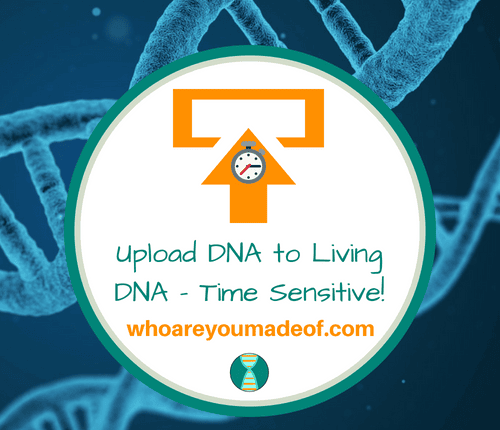 Upload DNA to Living DNA - Time Sensitive!