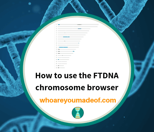 How to use the FTDNA chromosome browser
