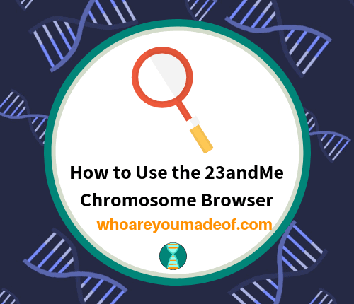 How to Use the 23andMe Chromosome Browser