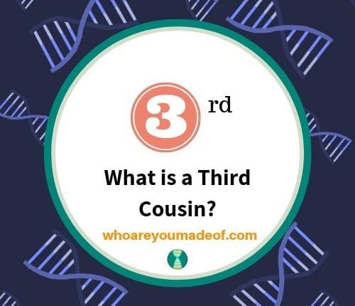 What is a Third Cousin_