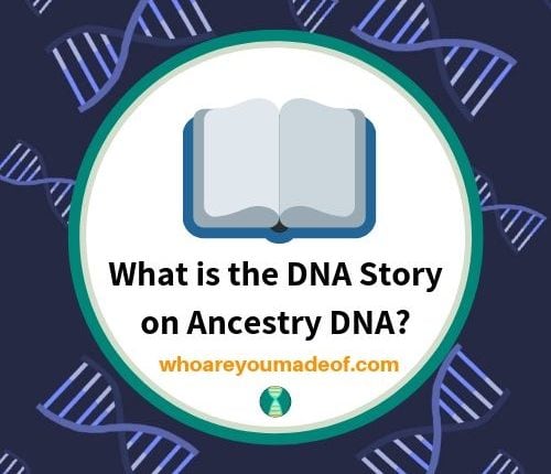 What is the DNA Story on Ancestry DNA_