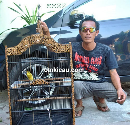 Daris dan kenari Naga Sakti