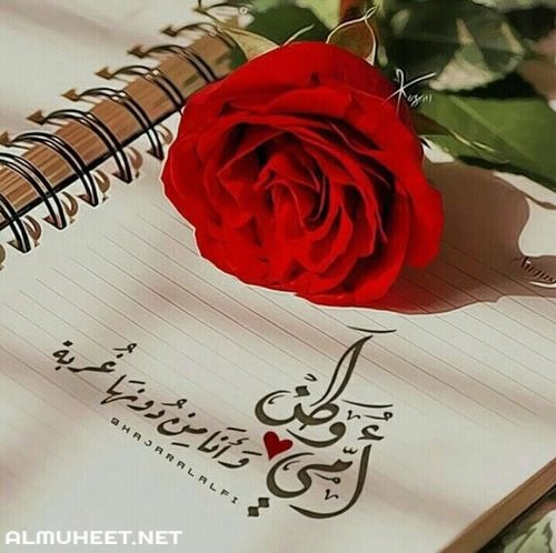 صور عيد الأم 2021 جديدة لتهنئة في يوم عيد الأم الأحد 20 مارس ابداع نت