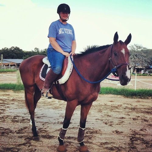 A Young Nerd Horse