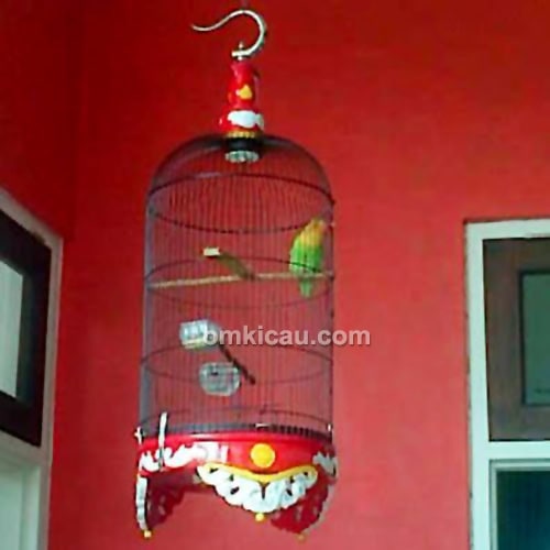 Lovebird Opium