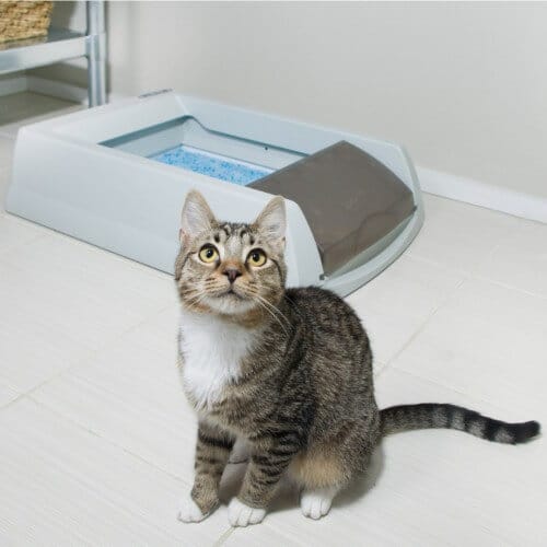 litiere-auto-nettoyante-scoopfree-petsafe