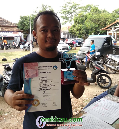 Murai batu Kil Bill Jr