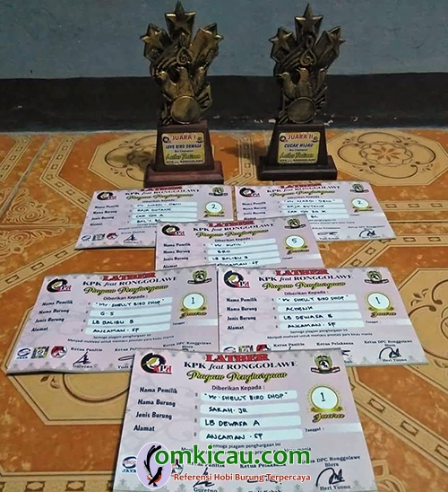 lovebird jawara