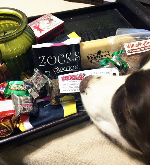 My loot with dog photo bomb