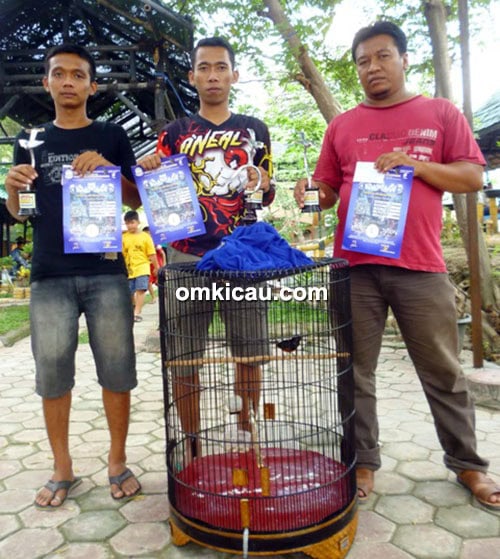 Murai batu Predator