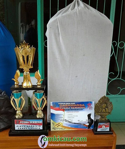 cendet jawara
