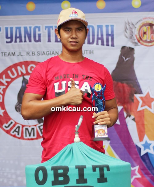 Murai batu Ucil